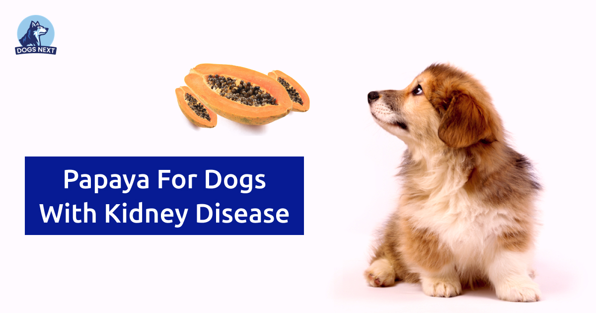 Papaya for Dogs with Kidney Disease