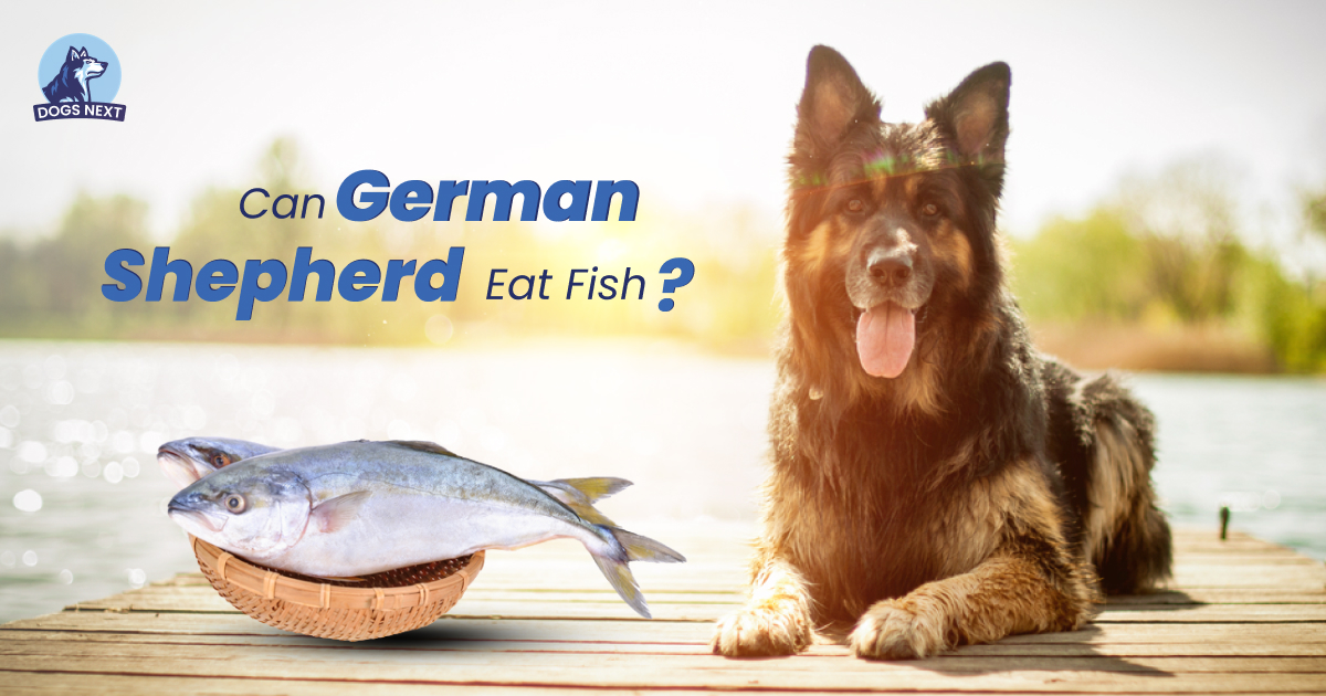 German Shepherd Eat Fish