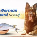 Can German Shepherds Eat Fish?