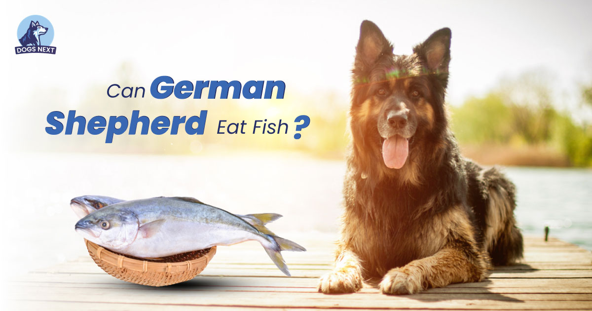 Can German Shepherds Eat Fish?