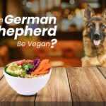 Can German Shepherds Be Vegan