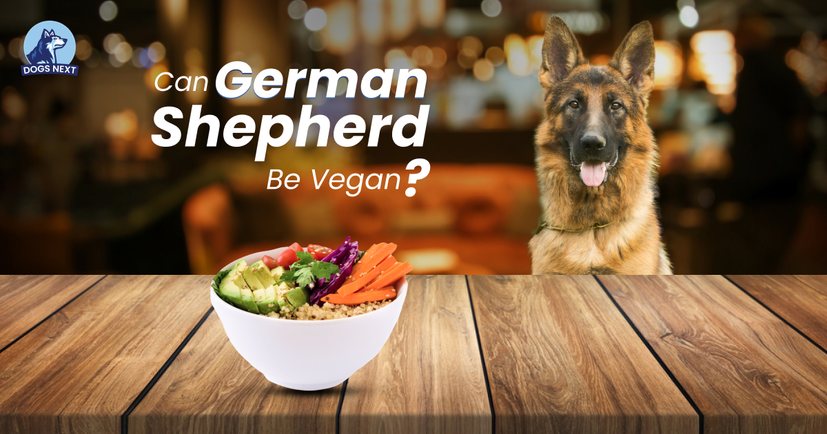 Can German Shepherds Be Vegan