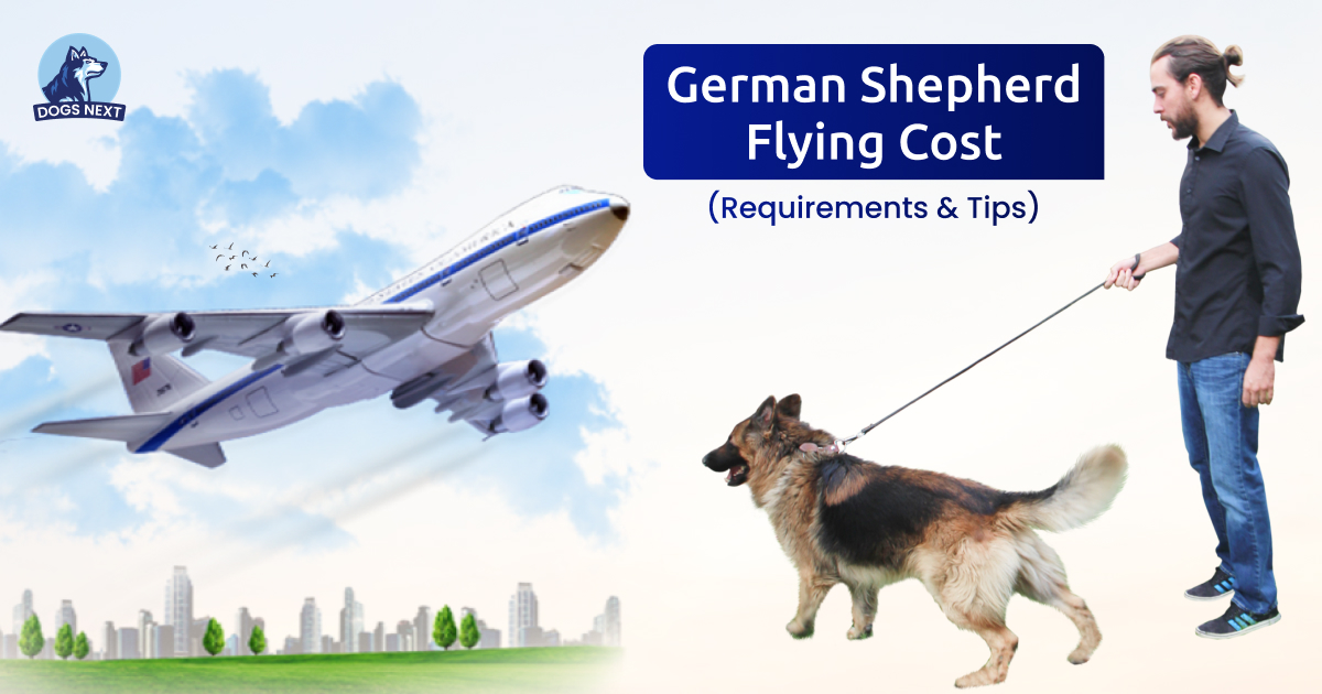 German Shepherd Flight Cost