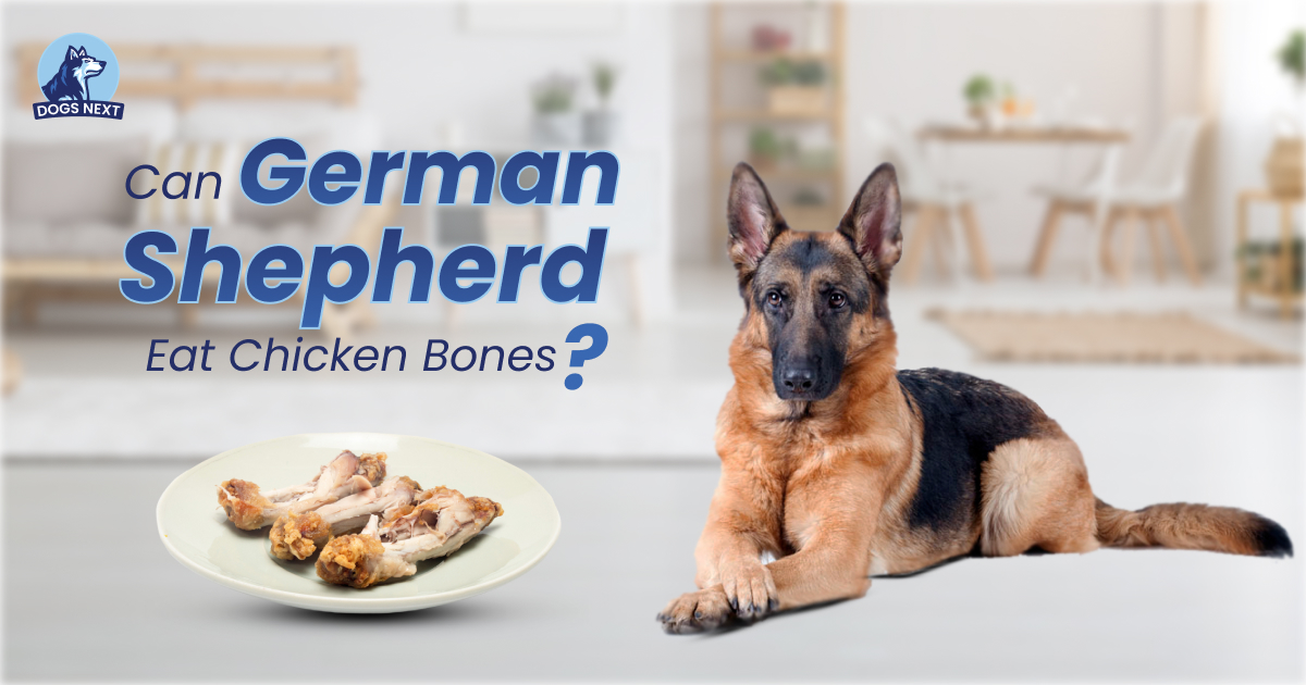 German Shepherds Eat Chicken Bones