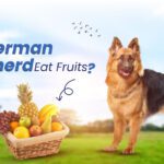 German Shepherds Eat Fruits