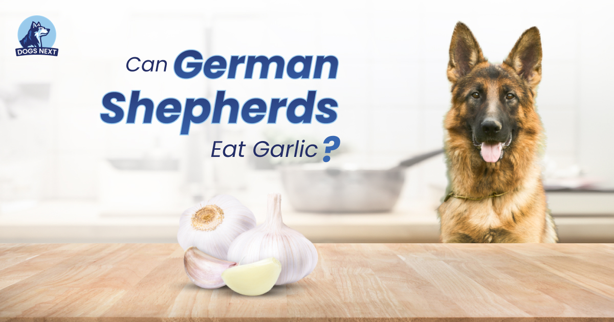 German Shepherds Eat Garlic
