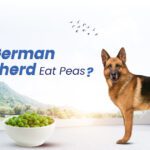 Can German Shepherds Eat Peas