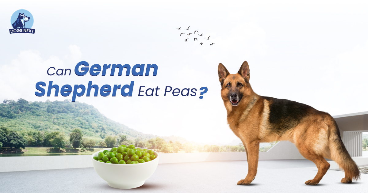 Can German Shepherds Eat Peas
