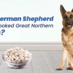 Can German Shepherds Eat Cooked Great Northern Beans