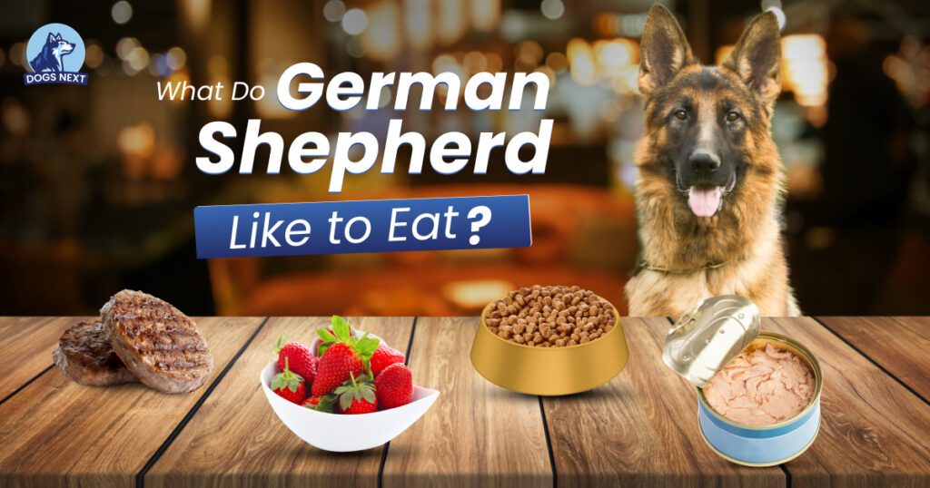 What Can German Shepherd Eat 20+ Safe, Healthy Foods