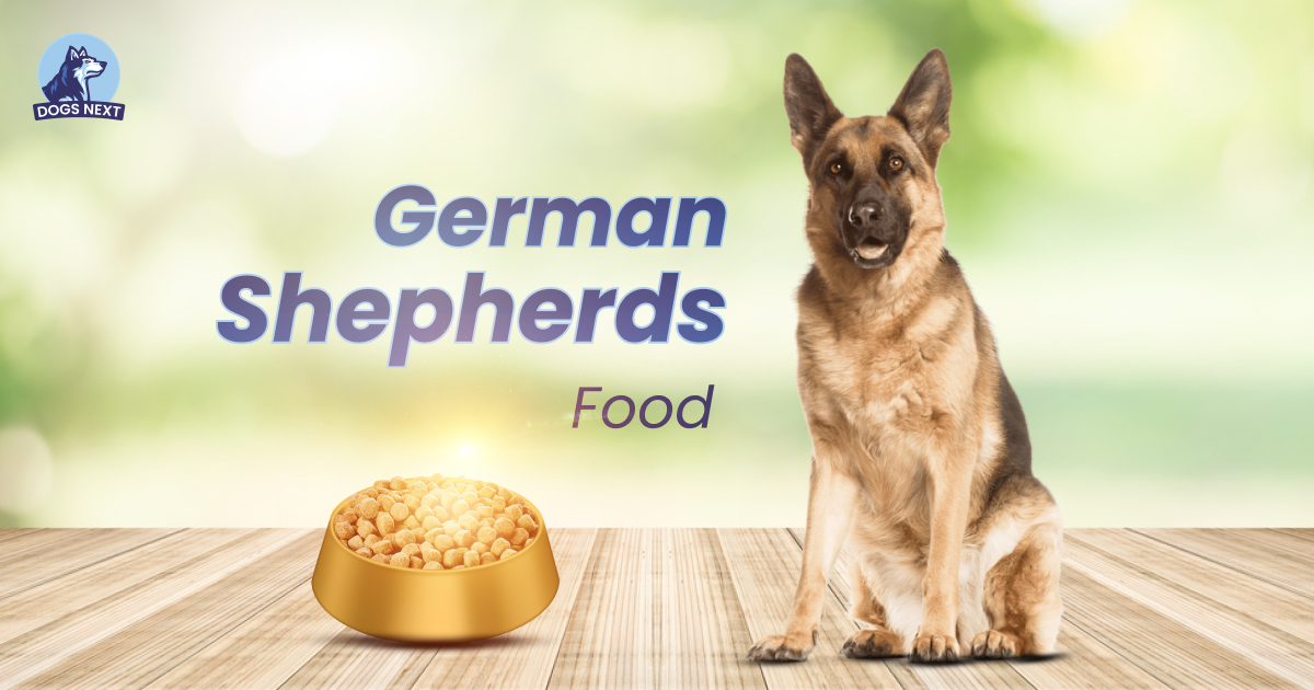 The Best Dog Food for German Shepherds