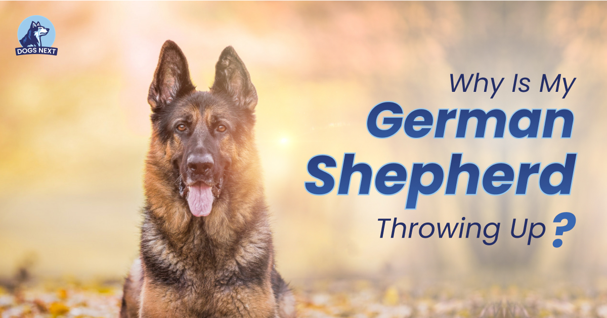 Why Is My German Shepherd Throwing Up?