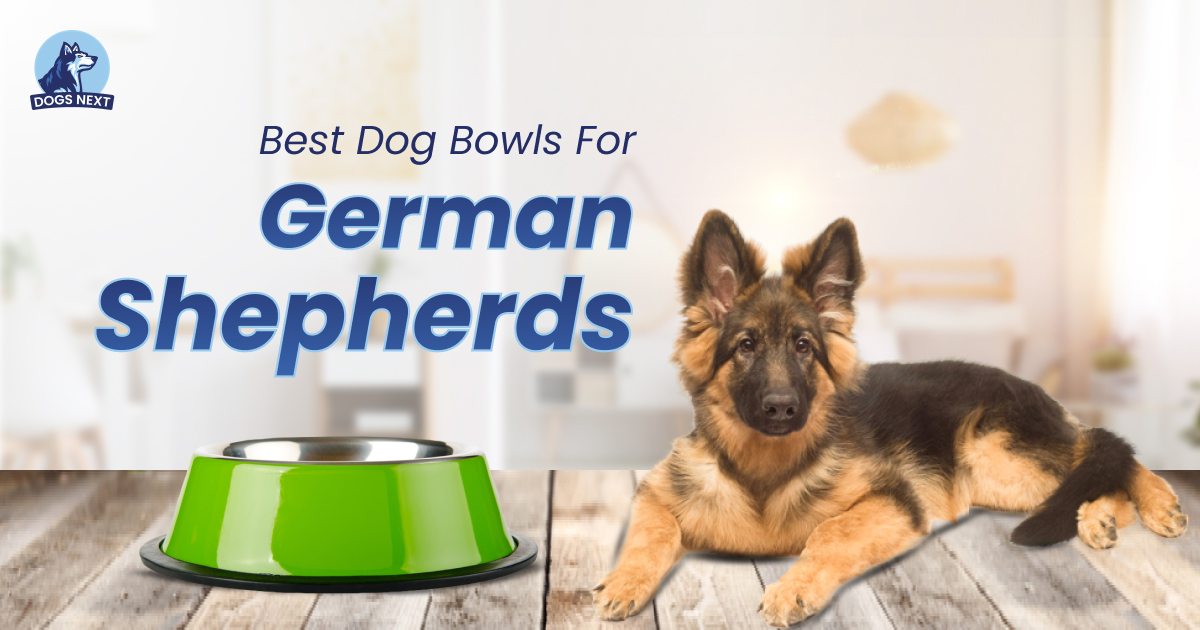 Dog Bowls for German Shepherds:
