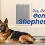 Dog Door for a German Shepherd