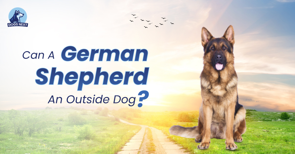 German Shepherd Be an Outside Dog
