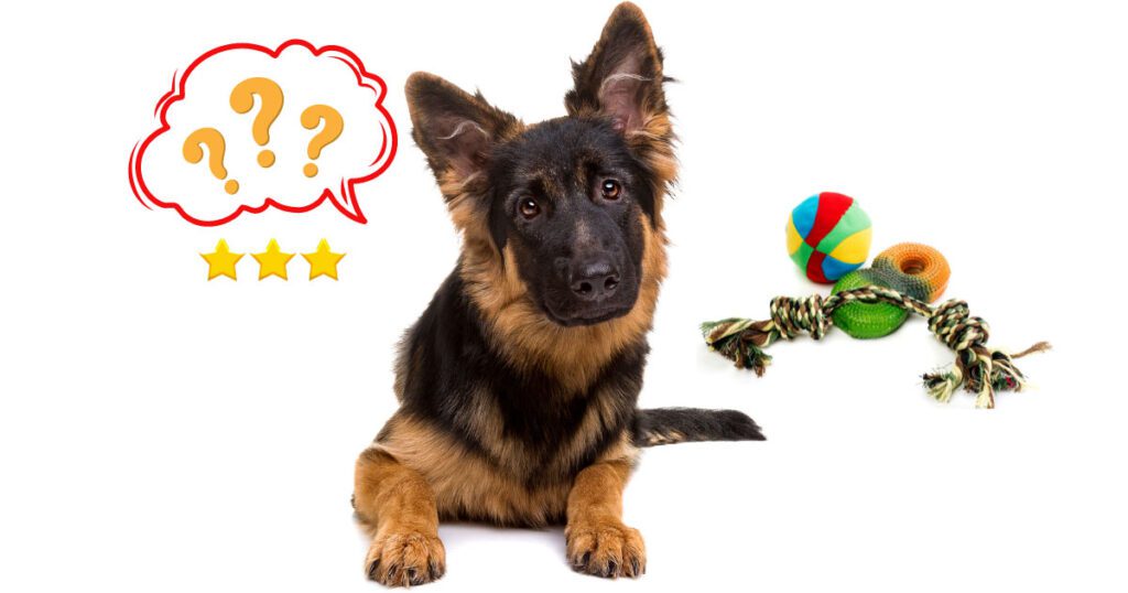 Interactive Puzzle Toys: Keeping Your German Shepherd's Brain Busy