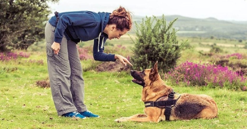 Positive Reinforcement Training Techniques for Your German Shepherd