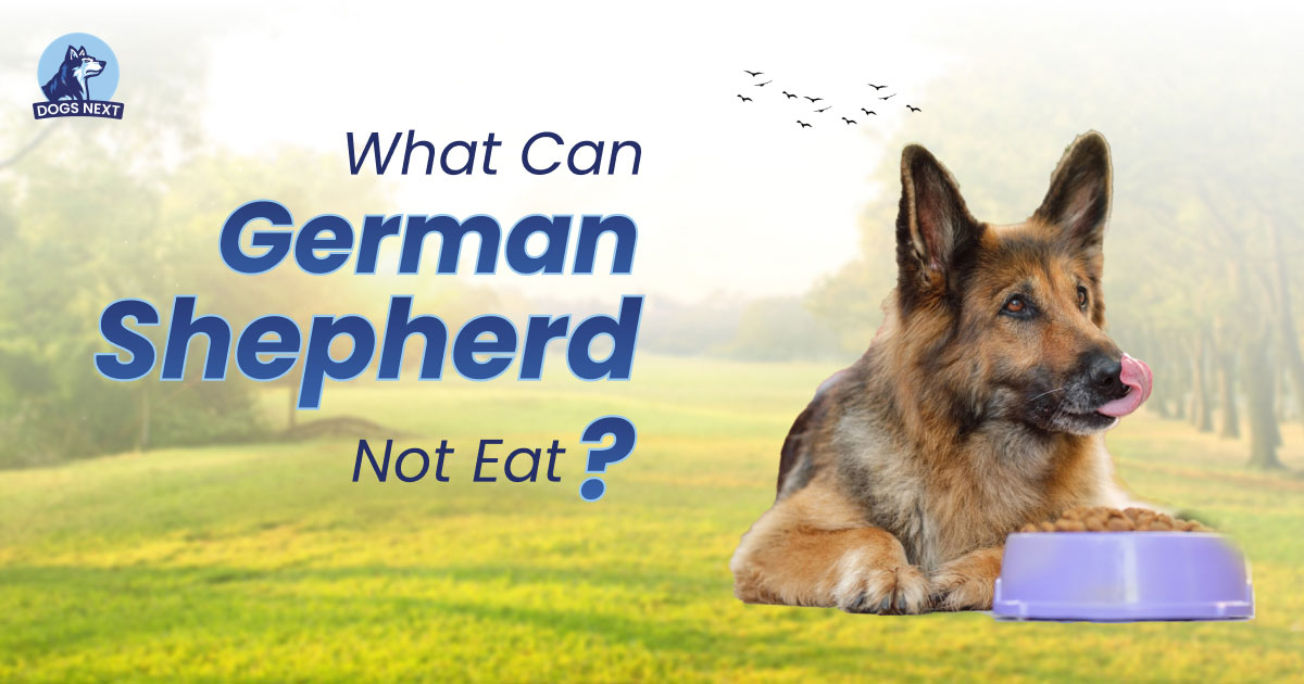What Can German Shepherds Not Eat