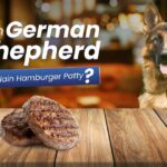 Can German Shepherd eat plain hamburger patty