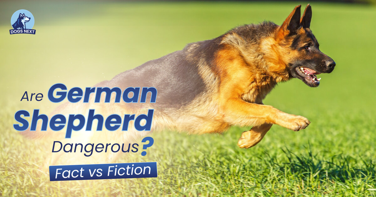 Are German Shepherds Dangerous