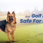 Golf Balls Safe for Dogs