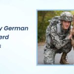 Military German Shepherd Names