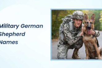 Military German Shepherd Names