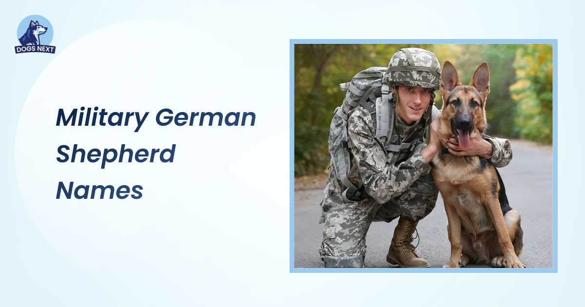 Military German Shepherd Names