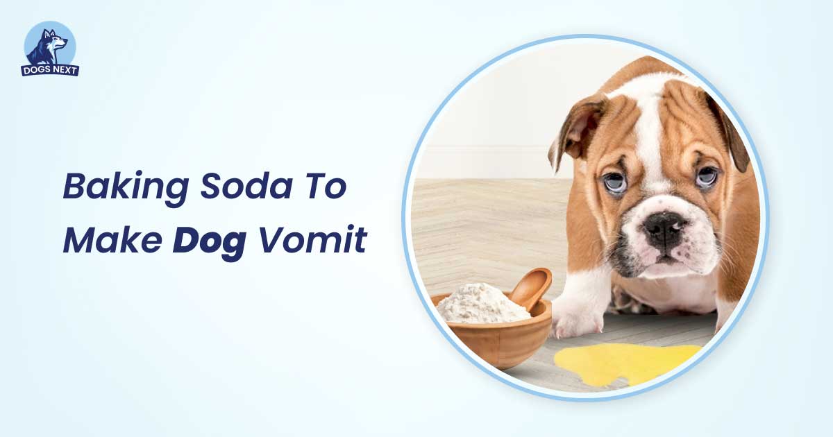 Baking Soda to Make Dog Vomit