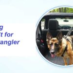 Best Dog Seat Belt for Jeep Wrangler