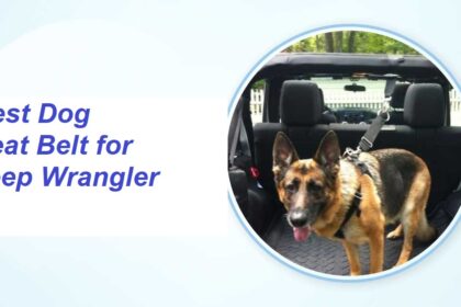 Best Dog Seat Belt for Jeep Wrangler