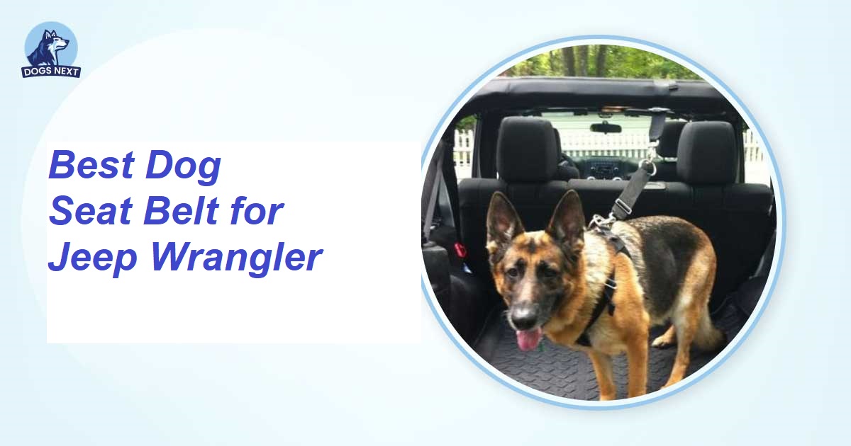 Best Dog Seat Belt for Jeep Wrangler