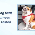 Best Dog Seat Belt Harness Crash Tested