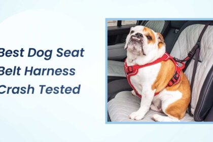 Best Dog Seat Belt Harness Crash Tested