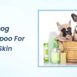 Best Dog Shampoo for Itchy Skin