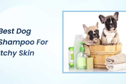 Best Dog Shampoo for Itchy Skin