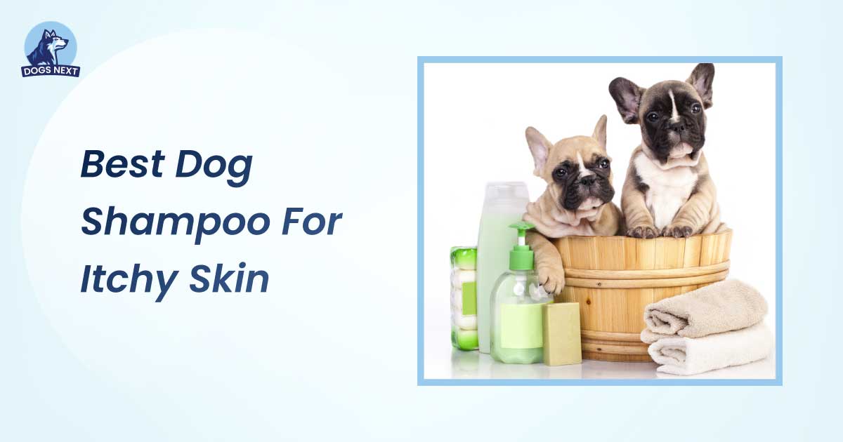 Best Dog Shampoo for Itchy Skin