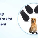 Best Dog Shoes for Hot Pavement