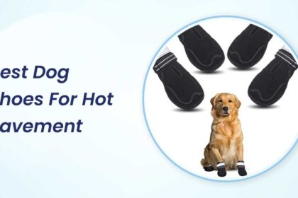 Best Dog Shoes for Hot Pavement