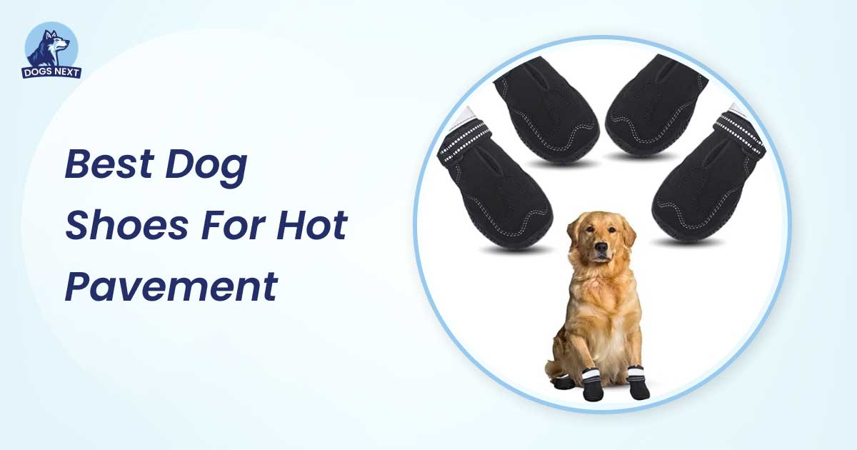 Best Dog Shoes for Hot Pavement