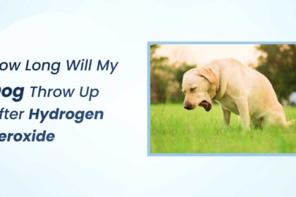 How Long Will My Dog Throw Up After Hydrogen Peroxide