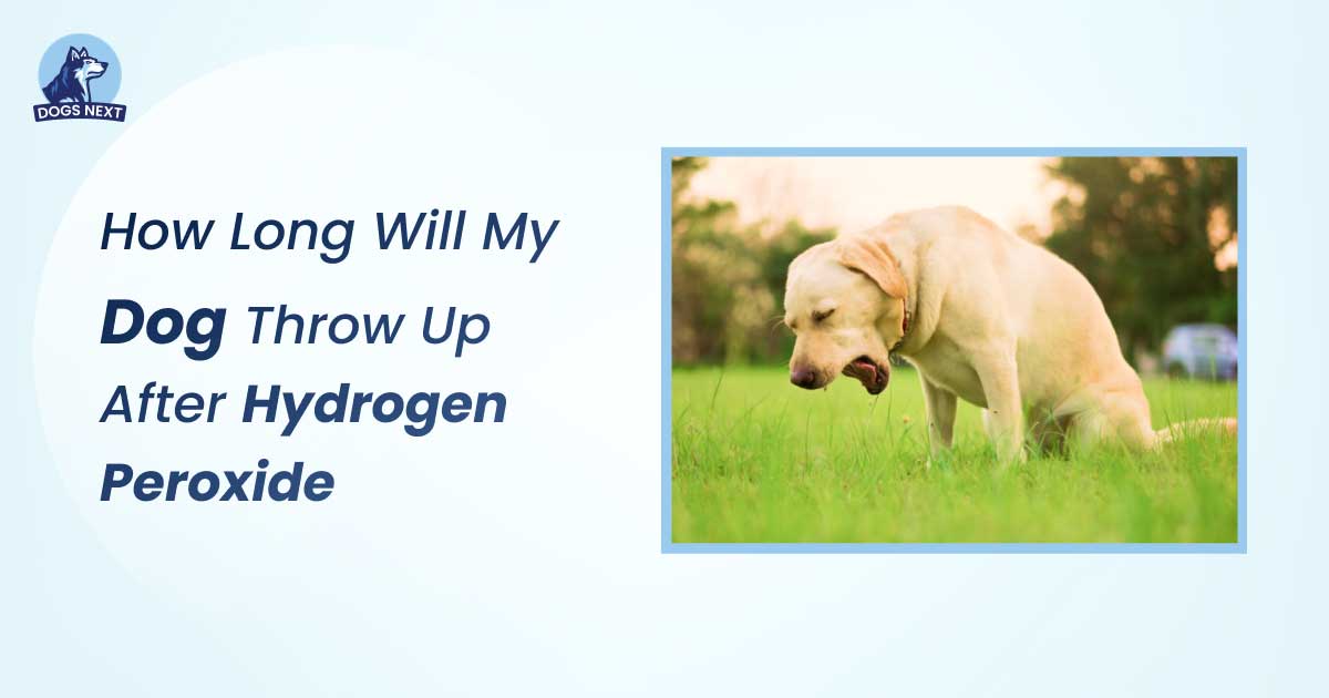 How Long Will My Dog Throw Up After Hydrogen Peroxide