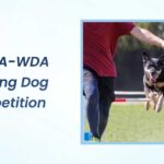 Gsdca-Wda Working Dog Competition