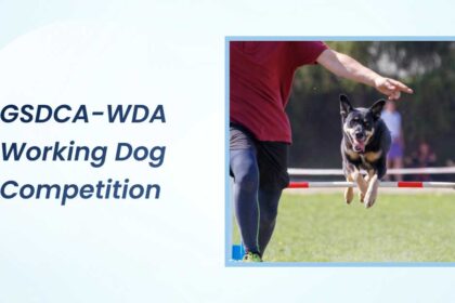 Gsdca-Wda Working Dog Competition