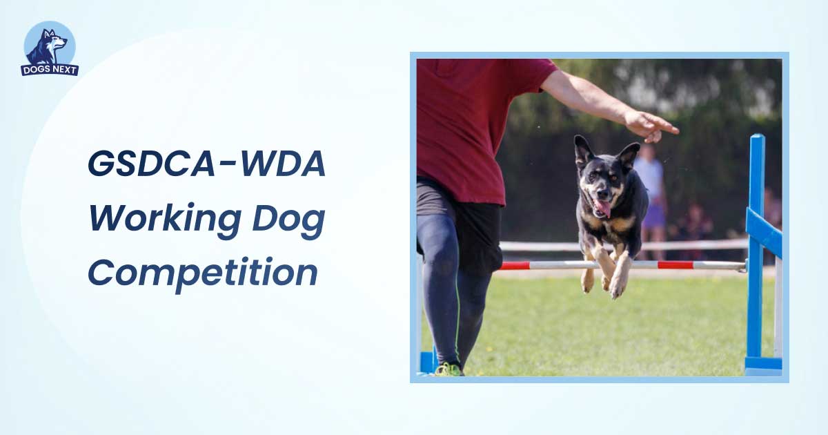 Gsdca-Wda Working Dog Competition