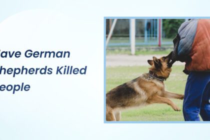 have german shepherds killed people