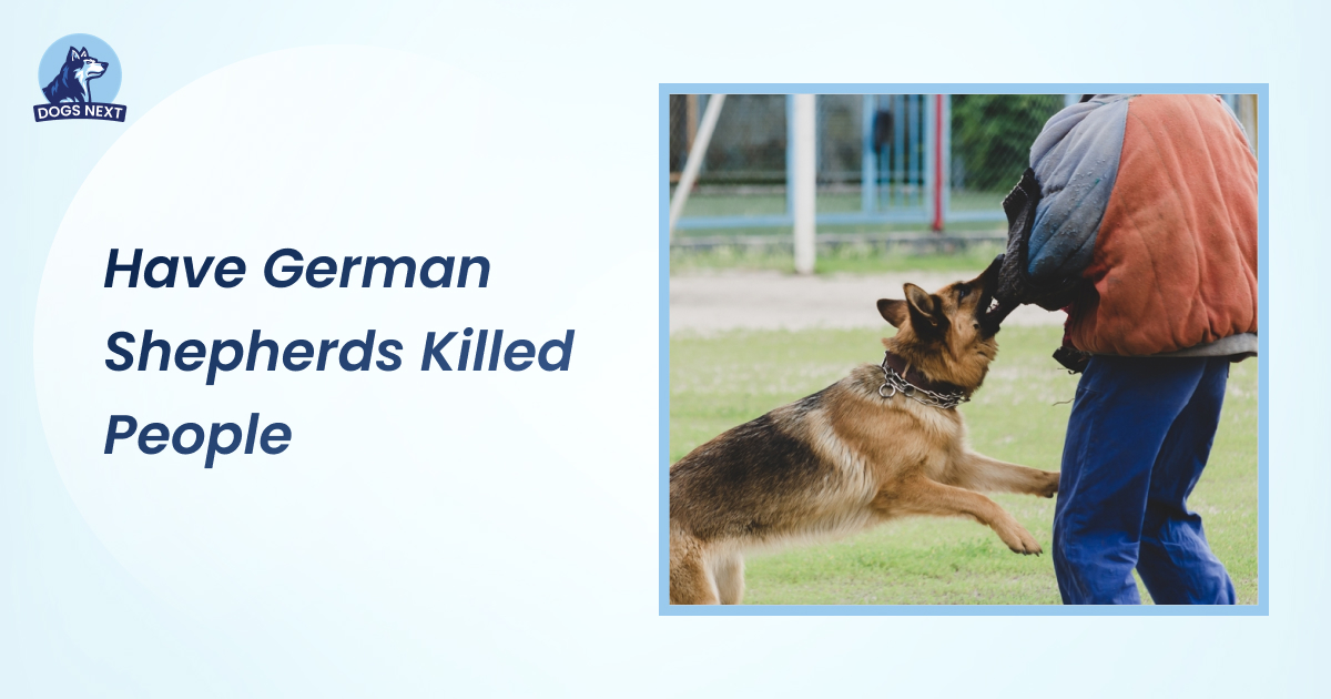 have german shepherds killed people