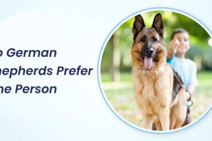 do german shepherds prefer one person