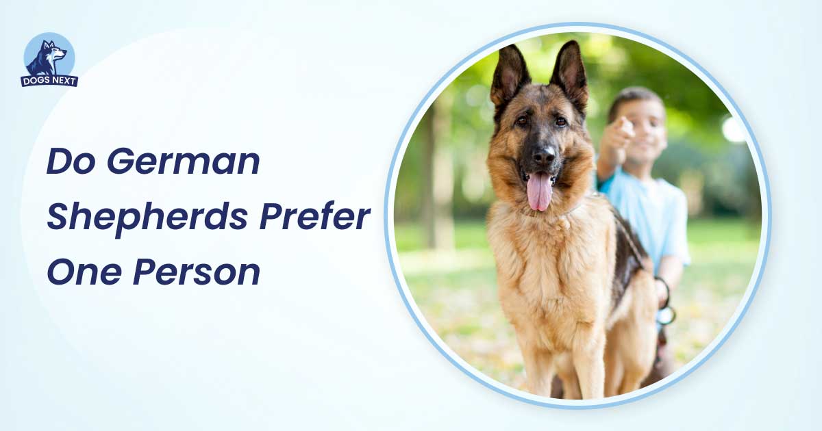 do german shepherds prefer one person